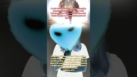 Mensagem 362