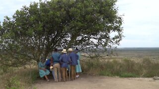 SOUTH AFRICA - West Coast- Riel dancers entertain guests during the signing ceremony and launch of industry-wide benefit sharing agreement on rooibos traditional knowledge (Video) (mnx)