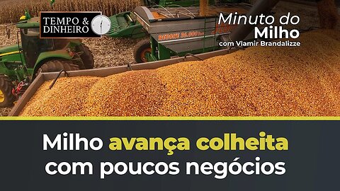 Milho avança colheita com poucos negócios