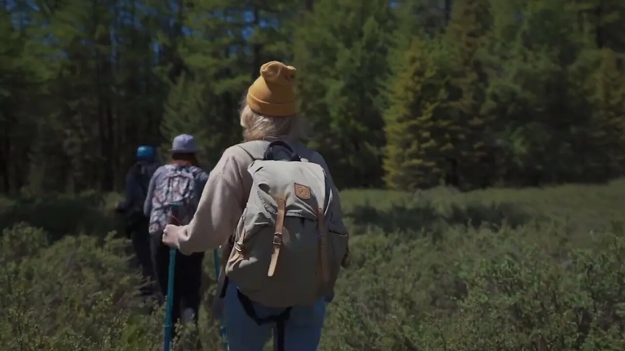 12 Most Strange And Incredible Finds In The Forest-1
