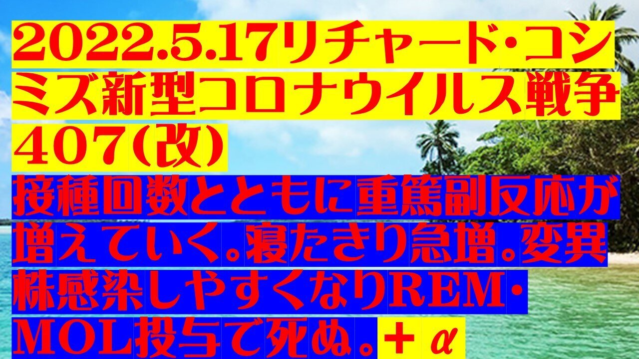 2022.05.17 リチャード・コシミズ新型コロナウイルス戦争407(改)