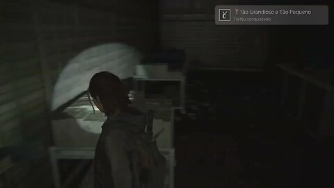 The Last of Us Parte II_20230227150051