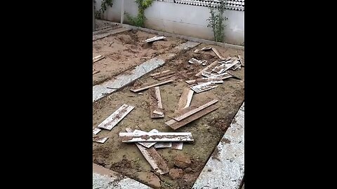Garden transformation