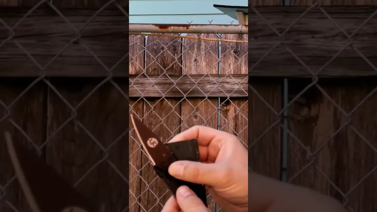 Foldable Knife?! How DOES it WORK?! #shorts #knifeshorts