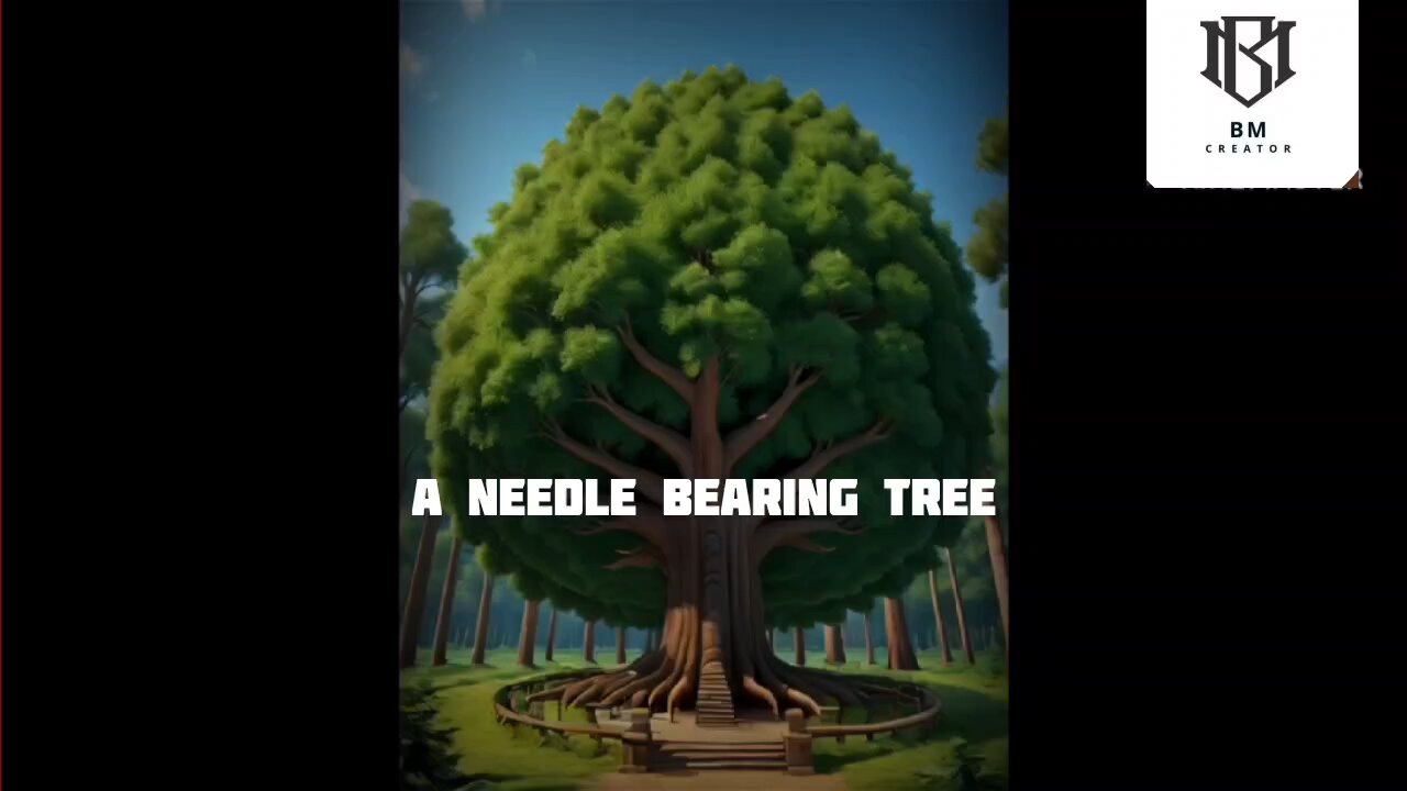 A needle bearing tree