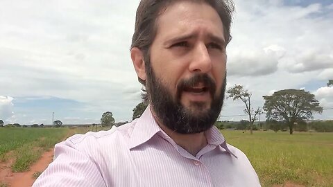 Perícias cautelares: Laudo de vizinhança na ótica do vizinho
