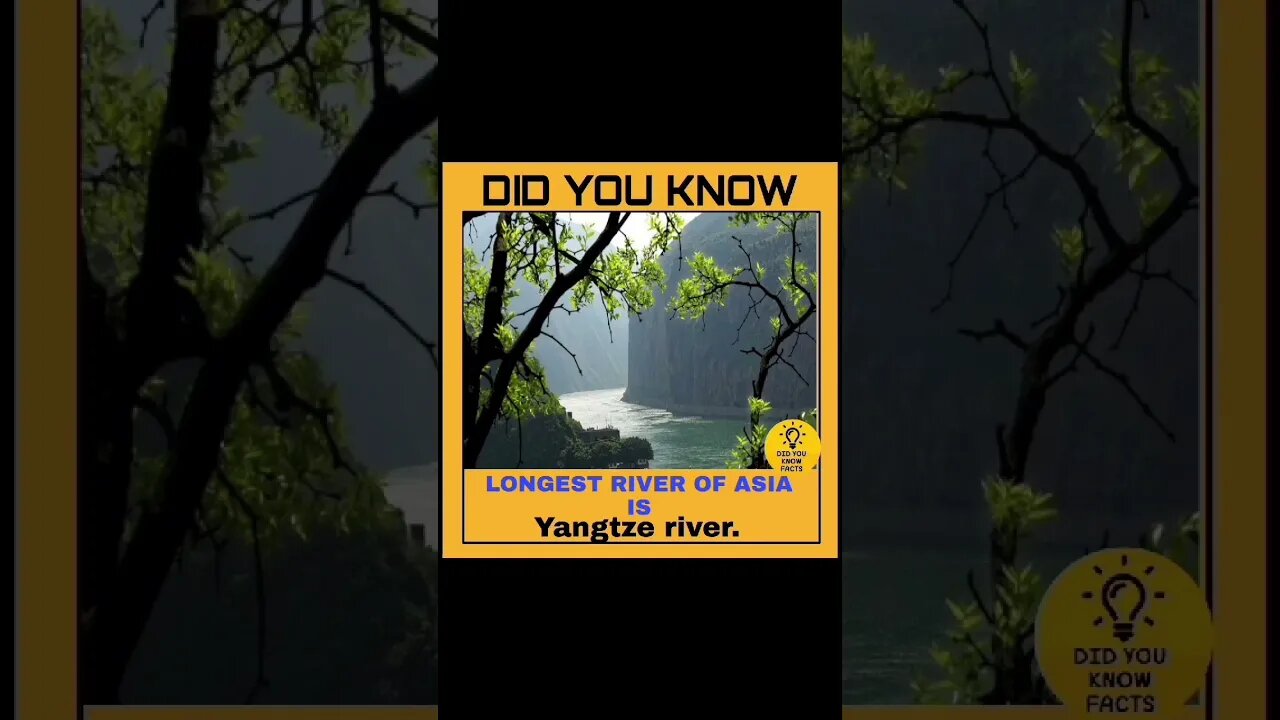 Do you know 🙋 Interesting fact #shorts #factshort #factsinhindi #brighttechz #facebook @brighttechz