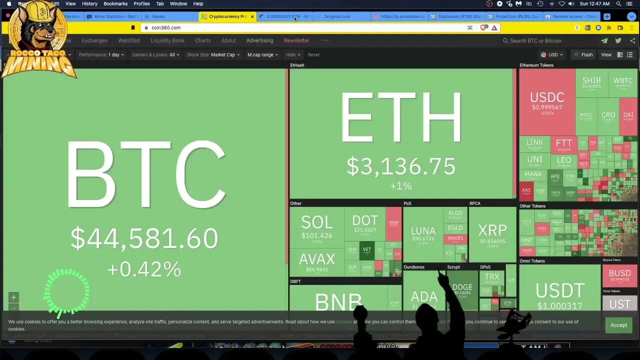 Which Crypto YouTubers Do I Watch