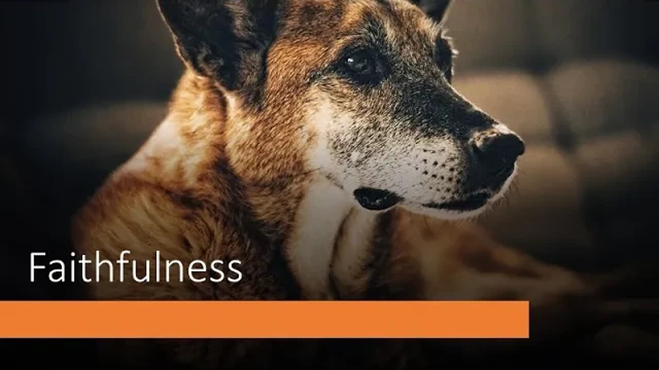 Sunday AM Service: Faithfulness