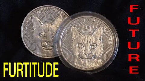 The Future Of The Furtitude