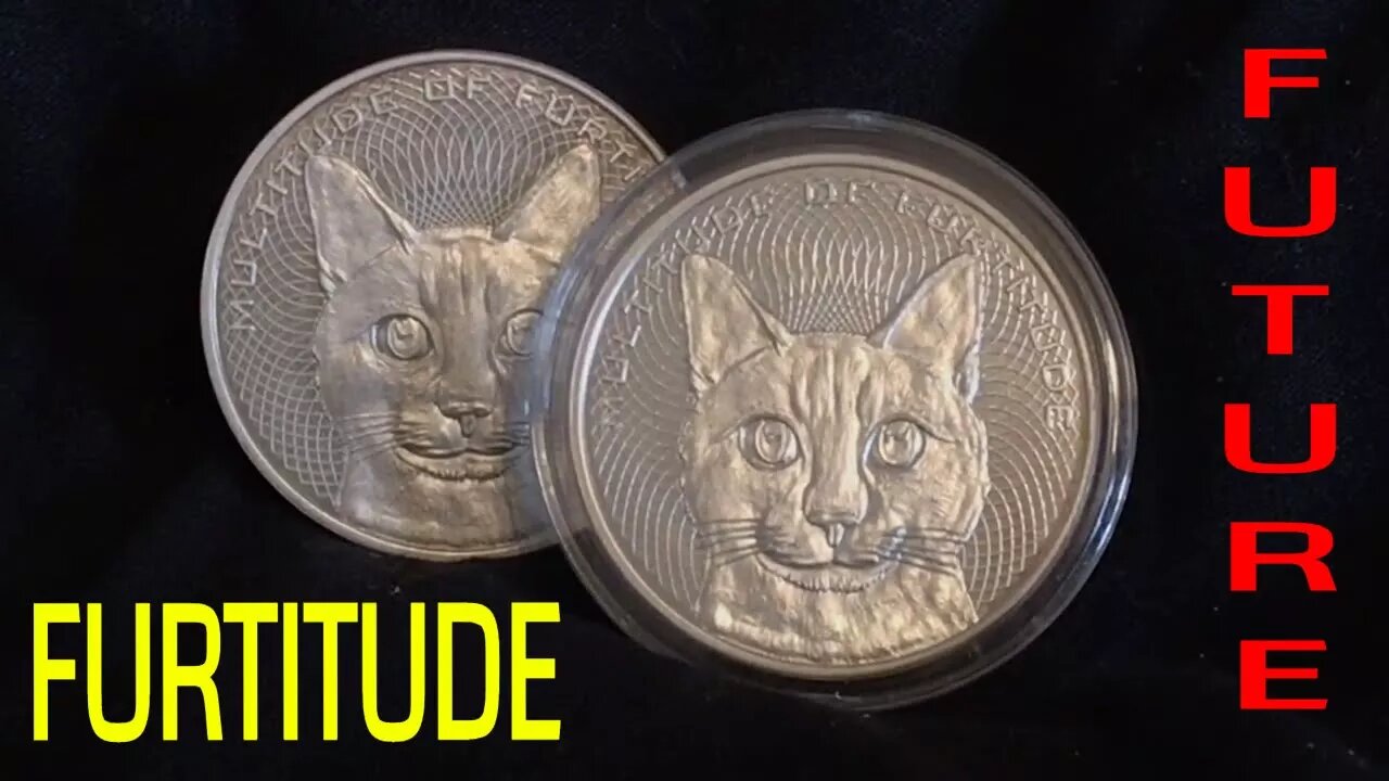 The Future Of The Furtitude