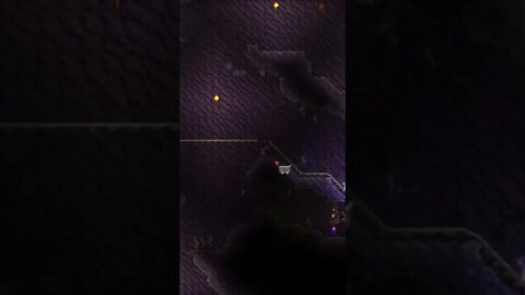 Opening Pandora's box. #terraria