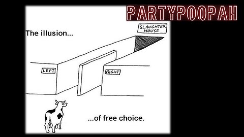 ILLUSION OF CHOICE