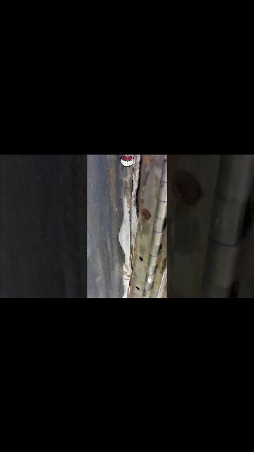 The Door Is Held On By One Screw? #door #screw #bus #problem