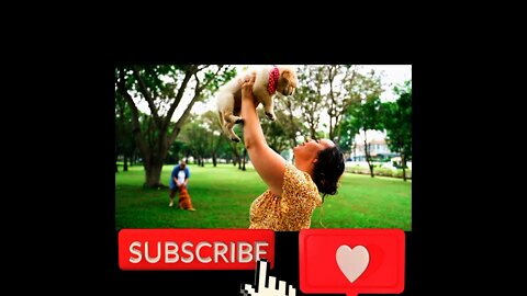 OMG❤️SO CUTE DOG\\CUT DOG & PUPPY &CAT VIDEO\\DOG FUNNY VIDEO 2021\\ Kitten cat 2021#short