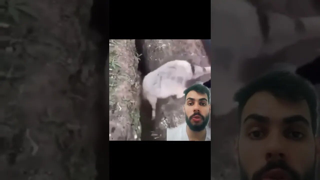 EXPLICANDO A SITUAÇÃO BRASILEIRA #shorts