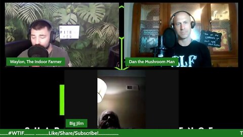 PITB EP#18: Are They Real? Have You Seen Any? Let's Talk Paranormal Experiences