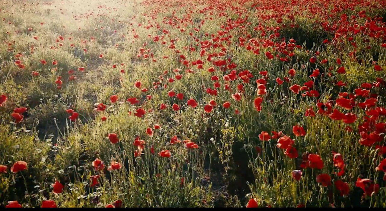 The most beautiful landscapes of nature