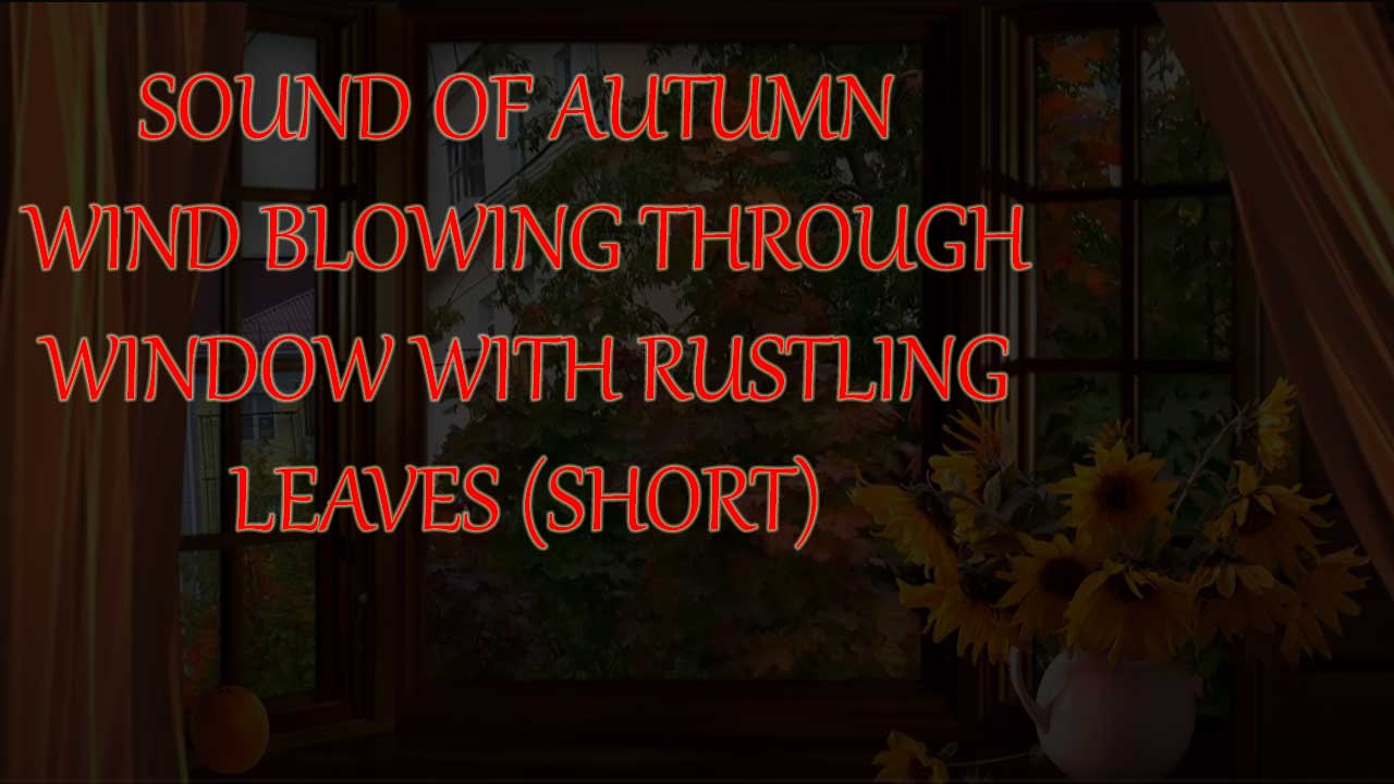Autumn Wind Blowing Through Window With The Sound Of Rustling Leaves