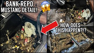Deep Cleaning The Worlds NASTIEST Ford Mustang | Insanely Satisfying Car Detailing Transformation!