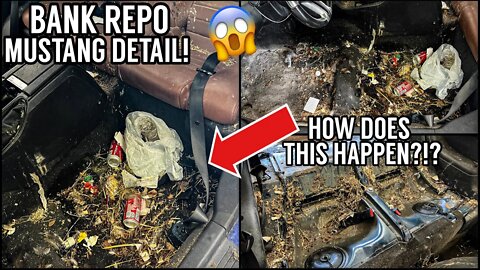Deep Cleaning The Worlds NASTIEST Ford Mustang | Insanely Satisfying Car Detailing Transformation!