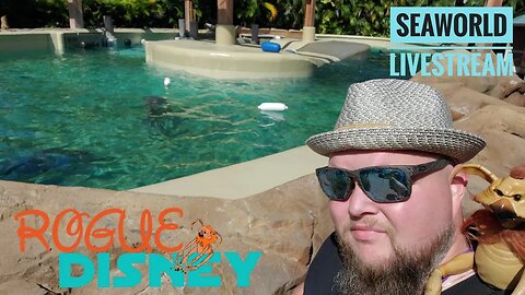 Mother's Day Livestream At SeaWorld