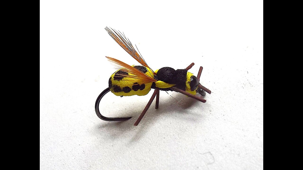 2 mm foam wasp in silent presentation