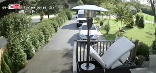 Little girl escapes coyote attack