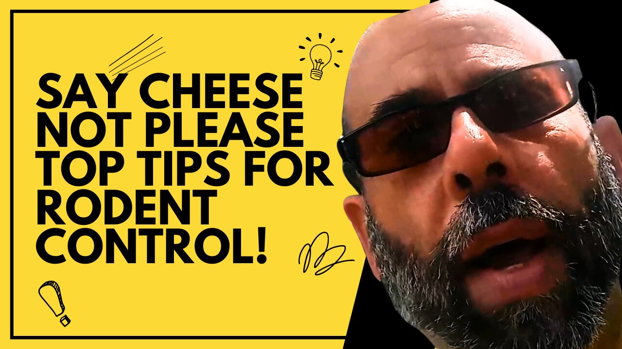 How to Get Rid of Rodents Tips for Effective Baiting and Control