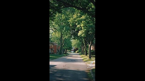 POV: When life was simple