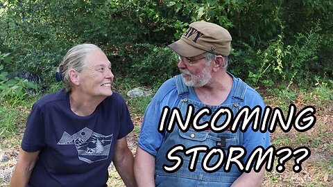 Hurricane IDALIA Update For the Deep Woods of North Florida 08/28/23 | All About Living