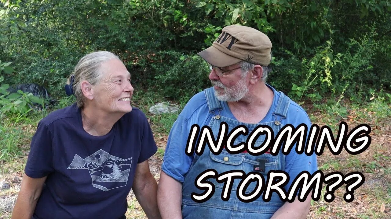 Hurricane IDALIA Update For the Deep Woods of North Florida 08/28/23 | All About Living