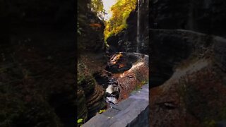 Beautiful relaxing music for stress #shorts