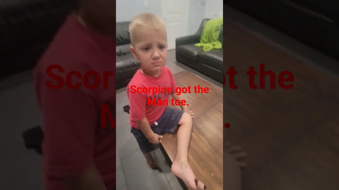 Why Johnny learned to wear shoes. Scorpion toe ouch