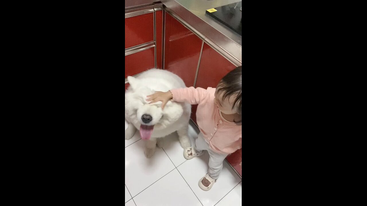 Cute Dog 🐶