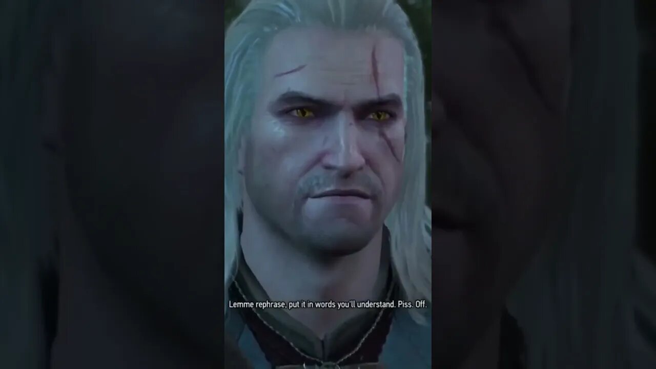 THE WITCHER 3 Out of Context | Best Roasts pt2