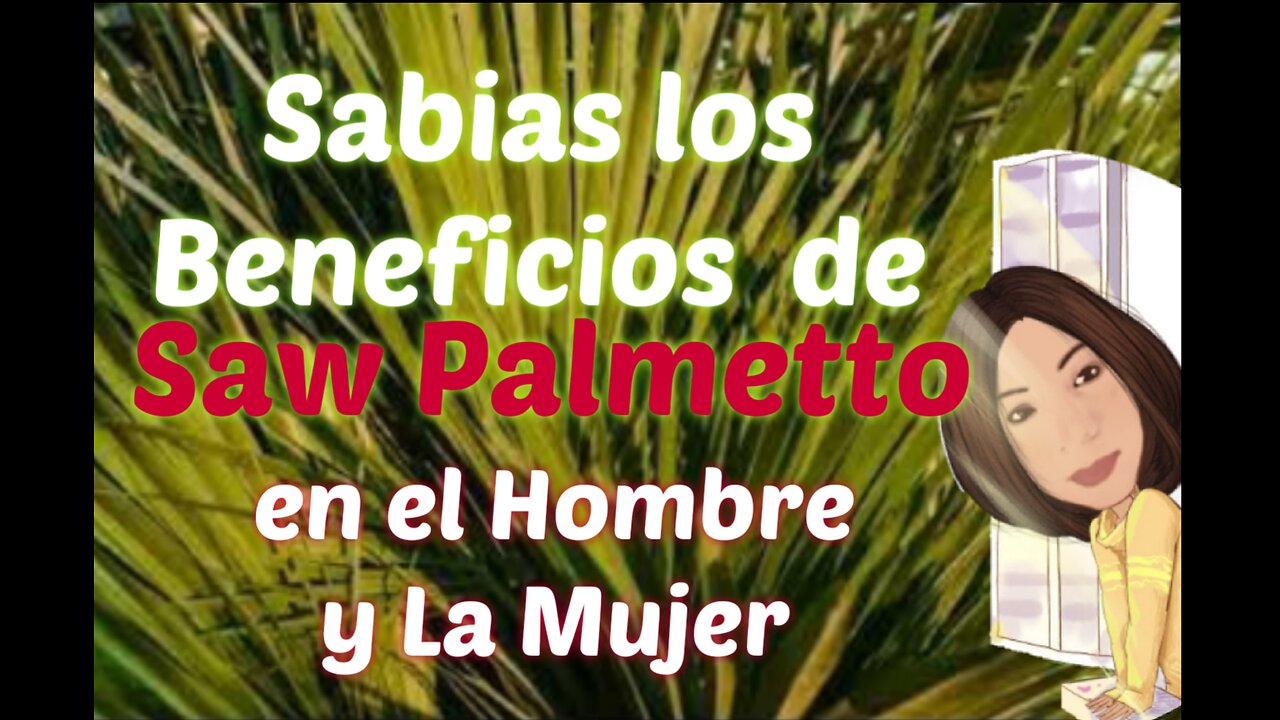 SABIAS ESTOS POSIBLES BENEFICIOS EN LA SALUD DEL HOMBRE Y LA MUJER CON SAW PALMETTO O PALMA ENANA.