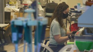 The Rebound: Vaccine research