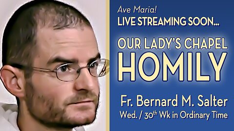 Wednesday of the Thirtieth Week in Ordinary Time - October 30, 2024 - HOMILY