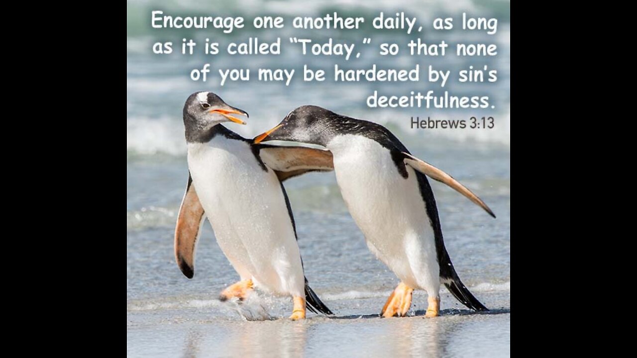 Study 11 Hebrews 3:7-19 With Richard