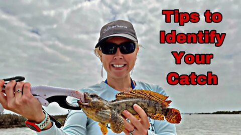 How to identify fish - tips to Identify Your Catch - Unsolicited Advice