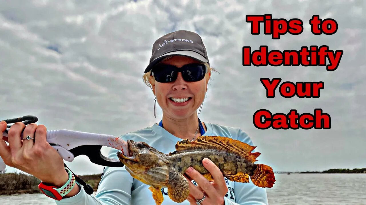 How to identify fish - tips to Identify Your Catch - Unsolicited Advice