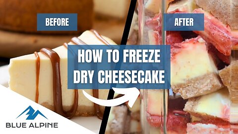Freeze Drying Cheesecake And Other Tips!