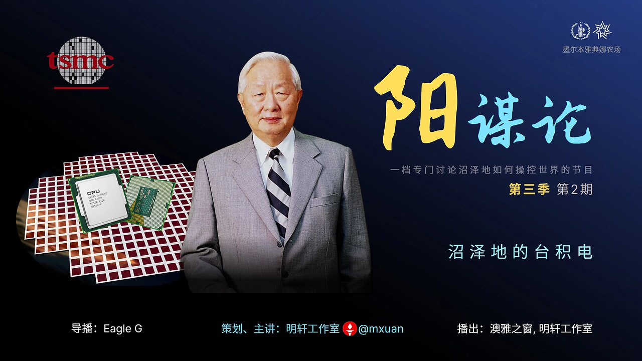 第三季第2期:沼泽地的台积电
