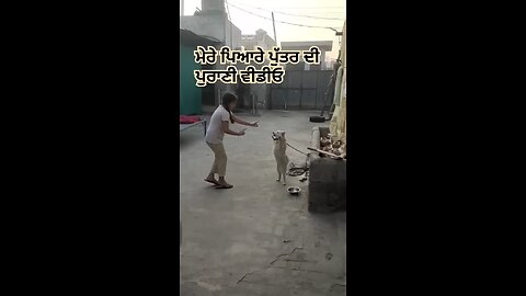 Karnjot Sohi