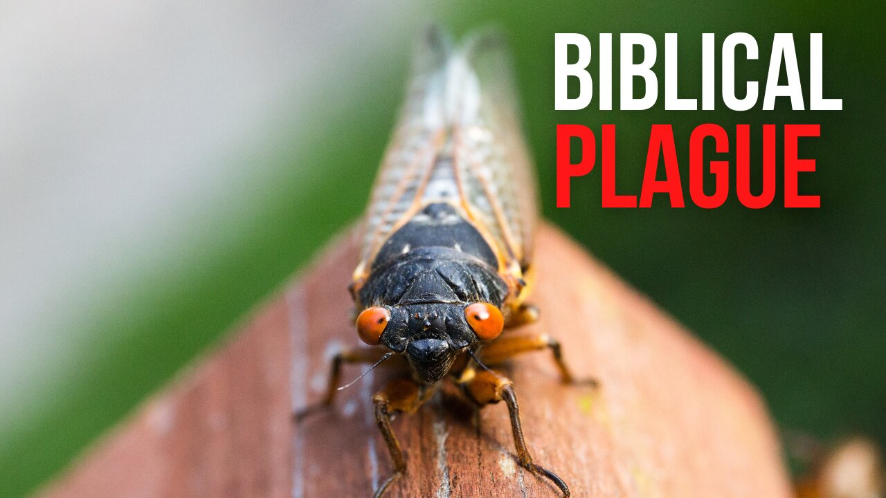Plague of Biblical Proportions Attacks Biden's Press Plane - After Show 6-9-21