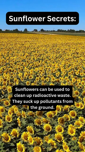 Mother Nature is trying to clean up our mess.