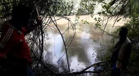SOUTH AFRICA - KwaZulu-Natal - Crocodile terrorises villagers (Videos) (UtF)
