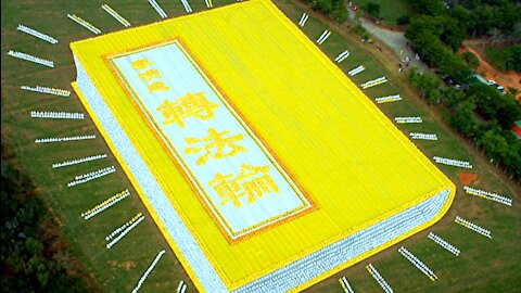 3分钟视频：一本奇书让问题男孩变成阳光青年