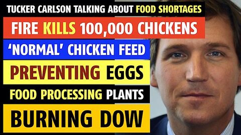 Fire kills 100,000 chickens, chicken feed preventing egg laying, food shortages, Tucker Carlson